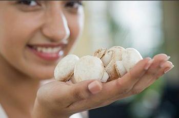 Beneficiile ciupercilor